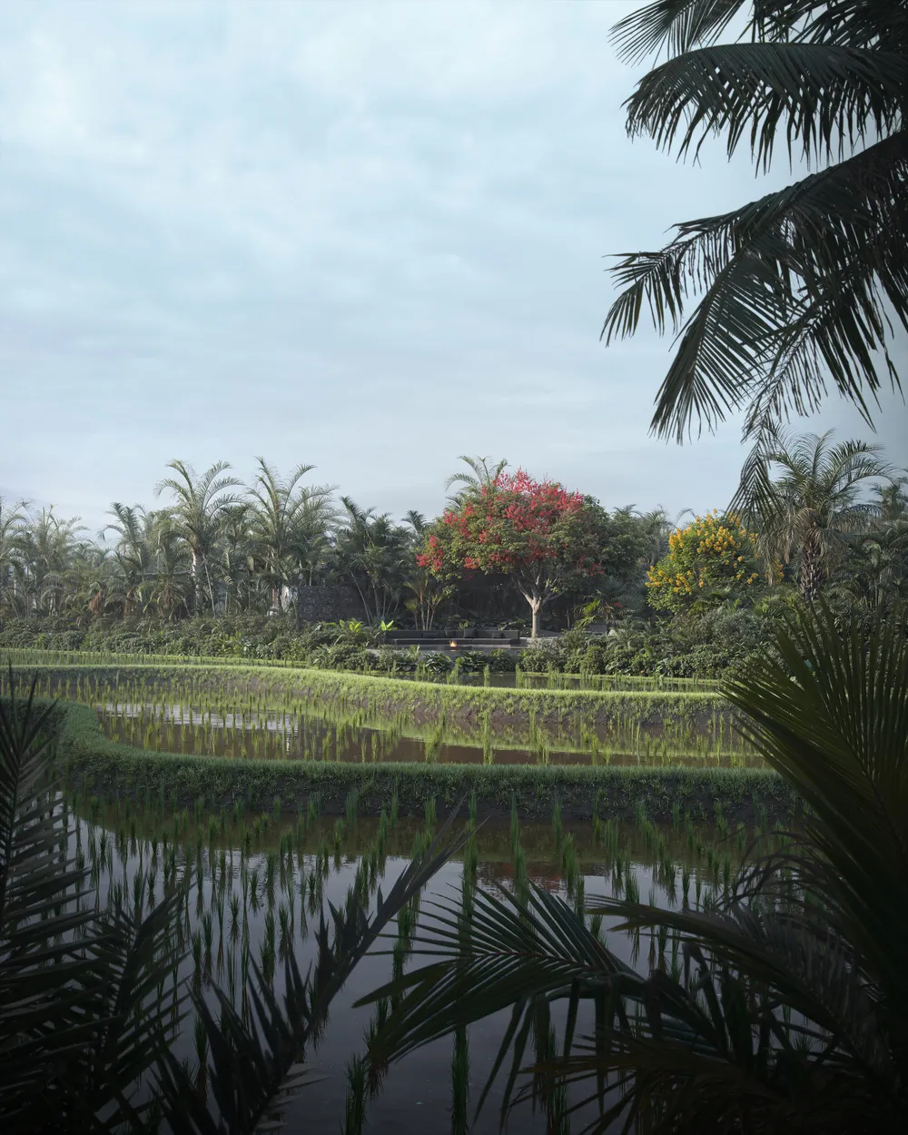 Flower Estates, фото 8